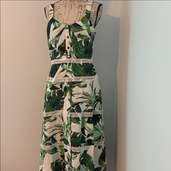 Gianni Bini Monica Palm Print Dress - Picture 6 of 10